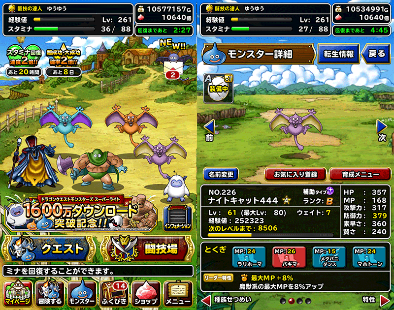 ナイトキャットたち