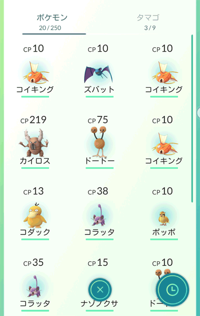 集まったポケモン達