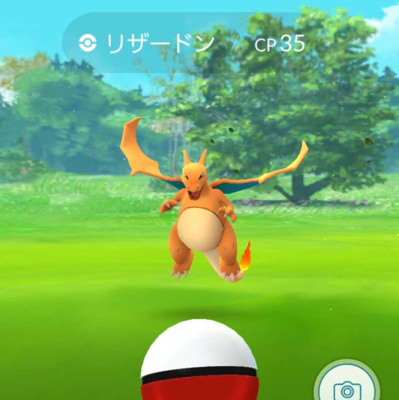 かわいいリザードン