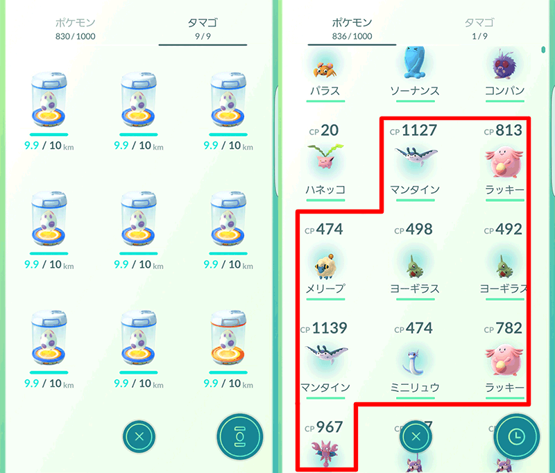 １０キロ卵９連！