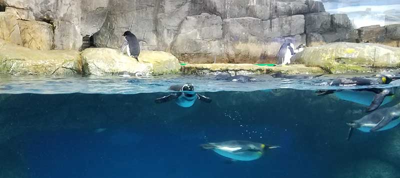水族館１