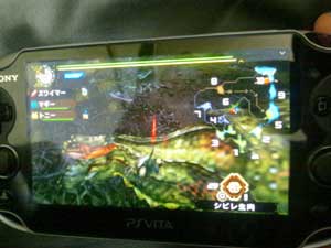 イビルジョー討伐1