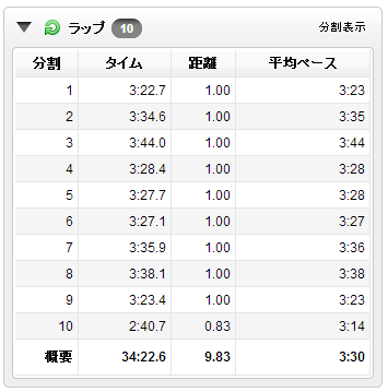 皇居10キロラップ