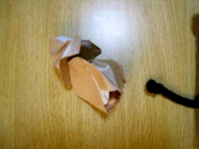 シャンプーとボディソープ2