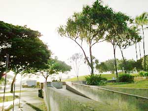 コンディショニングラン