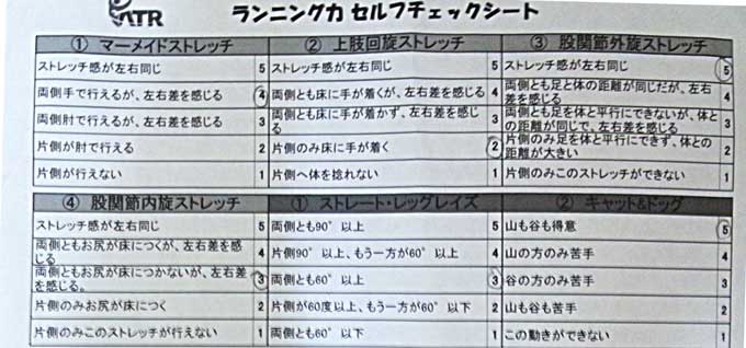 チェックシート1