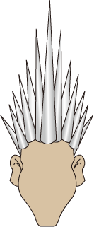 剣山のような髪の毛